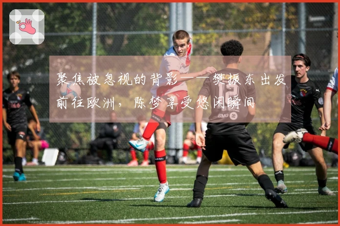 聚焦被忽视的背影——樊振东出发前往欧洲，陈梦享受悠闲瞬间