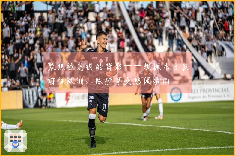 聚焦被忽视的背影——樊振东出发前往欧洲，陈梦享受悠闲瞬间