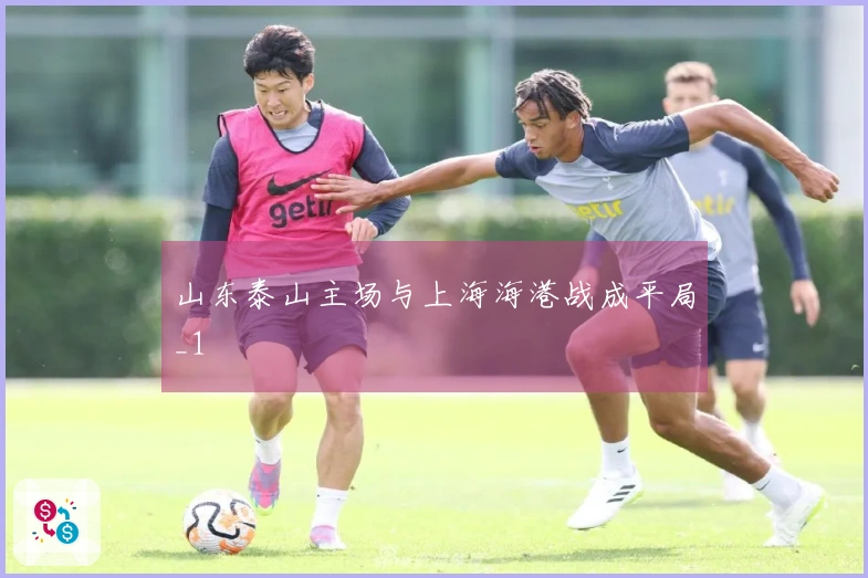 山东泰山主场与上海海港战成平局_1